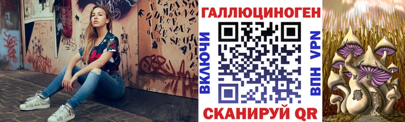 kraken ссылки  маркетплейс клад  Галлюциногенные грибы мухоморы  Аргун 
